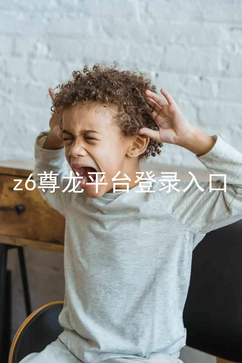 z6尊龙平台登录入口
